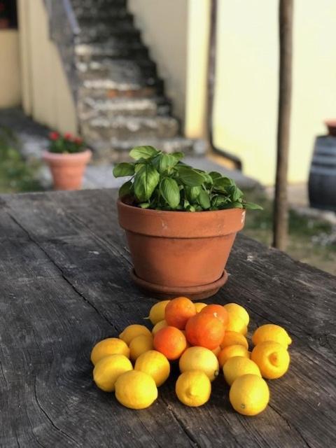Agriturismo La Posta Reale Castiglion Fibocchi Eksteriør bilde