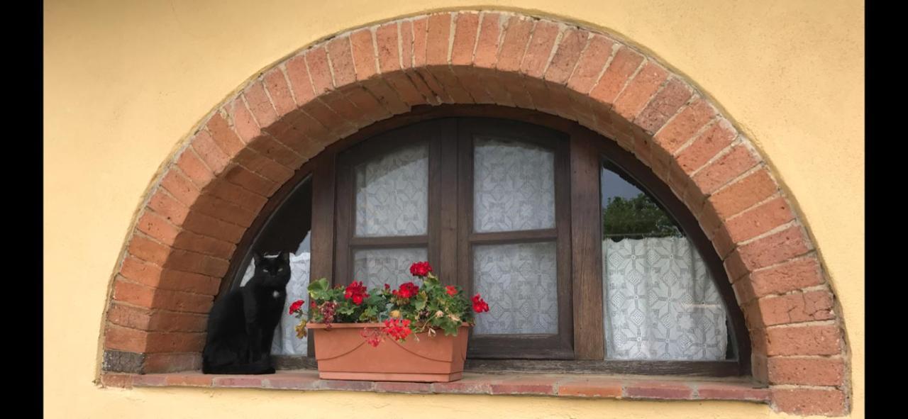 Agriturismo La Posta Reale Castiglion Fibocchi Eksteriør bilde