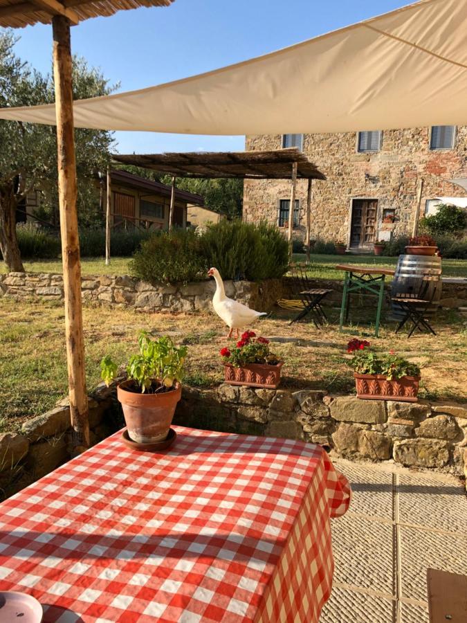 Agriturismo La Posta Reale Castiglion Fibocchi Eksteriør bilde