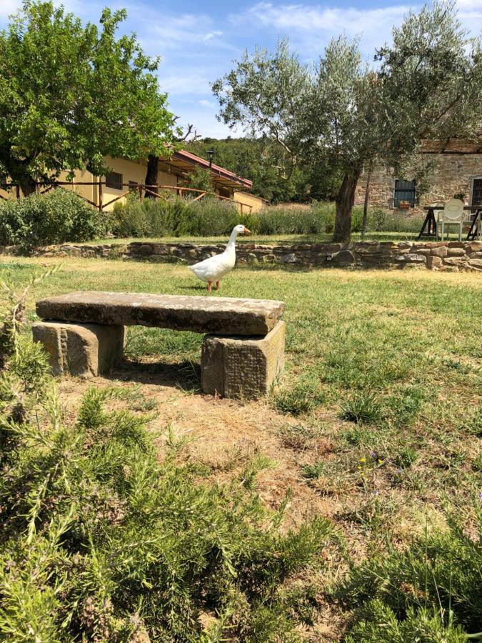 Agriturismo La Posta Reale Castiglion Fibocchi Eksteriør bilde