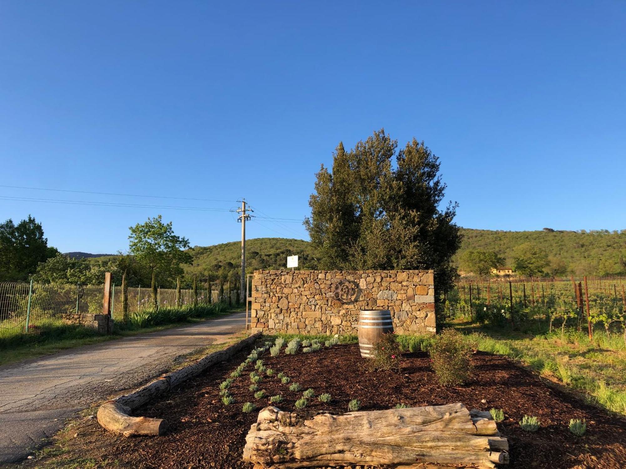 Agriturismo La Posta Reale Castiglion Fibocchi Eksteriør bilde