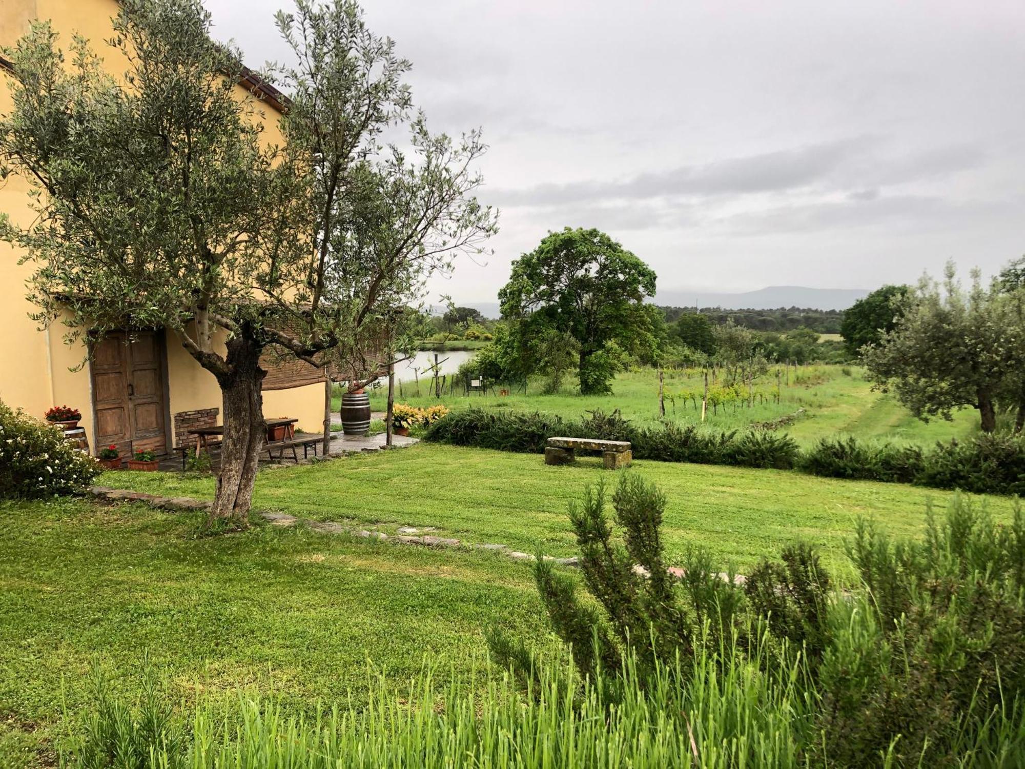 Agriturismo La Posta Reale Castiglion Fibocchi Eksteriør bilde