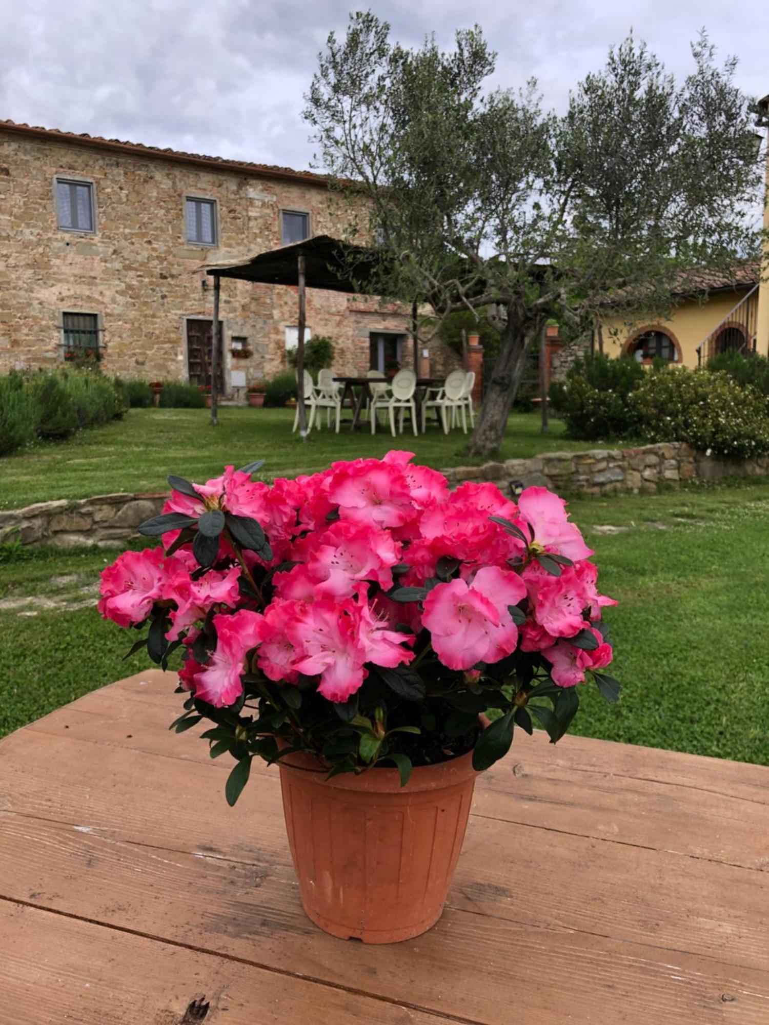 Agriturismo La Posta Reale Castiglion Fibocchi Eksteriør bilde