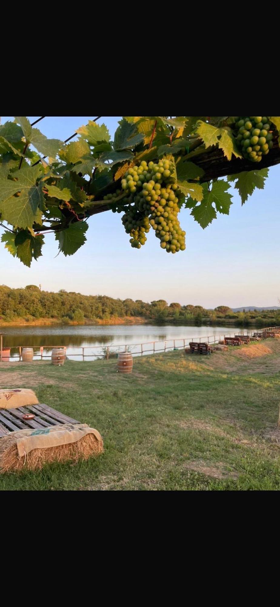 Agriturismo La Posta Reale Castiglion Fibocchi Eksteriør bilde