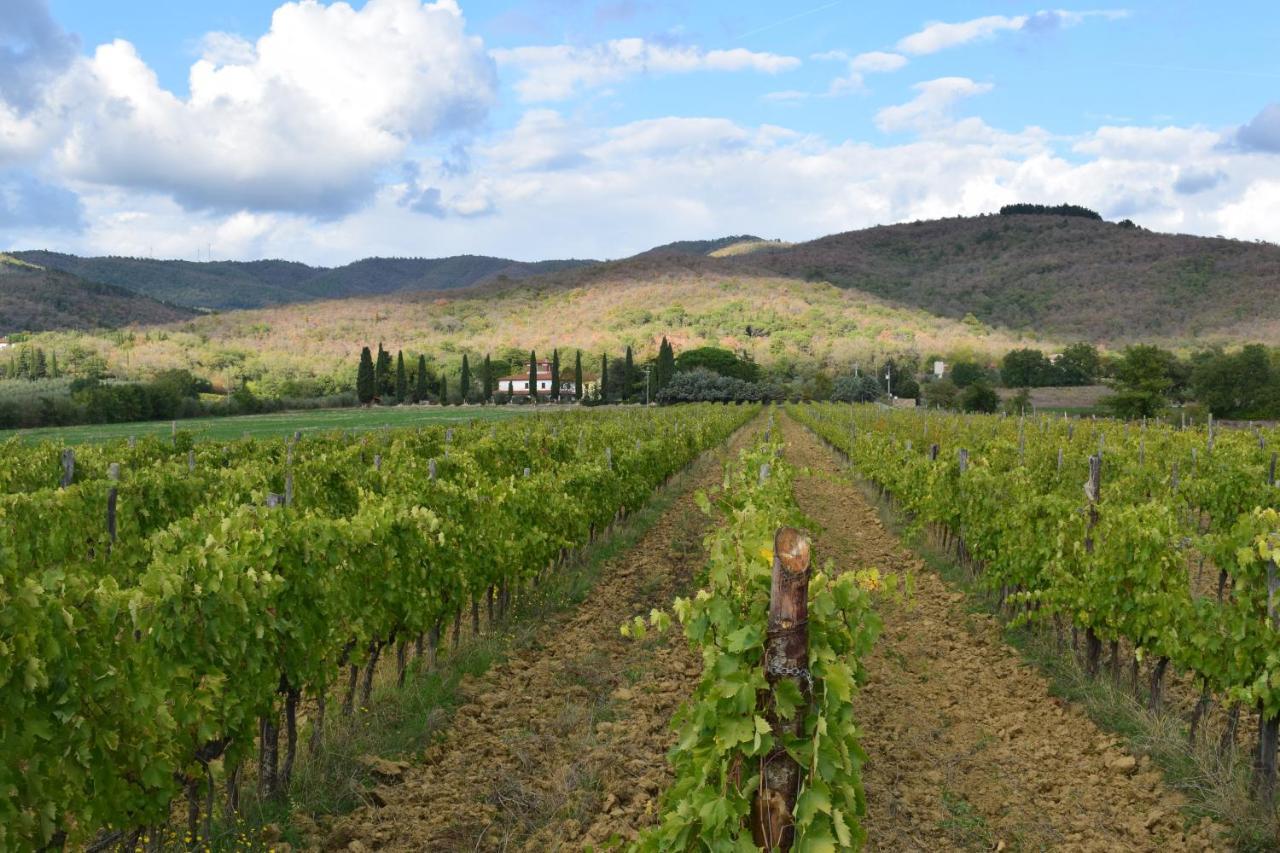 Agriturismo La Posta Reale Castiglion Fibocchi Eksteriør bilde
